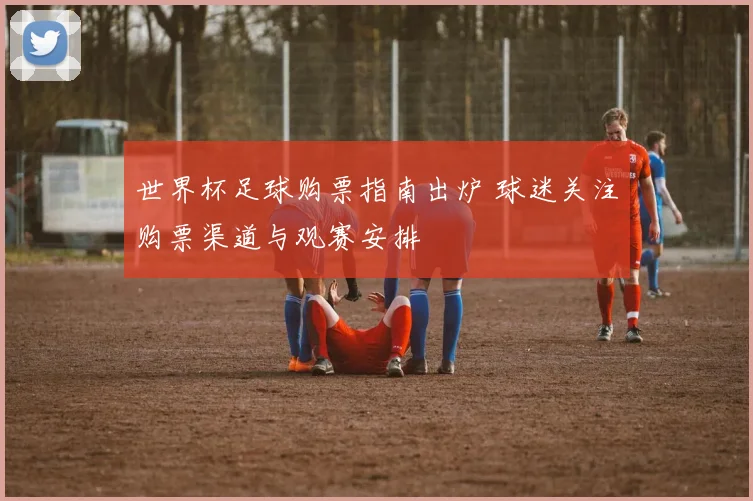 世界杯足球购票指南出炉 球迷关注购票渠道与观赛安排