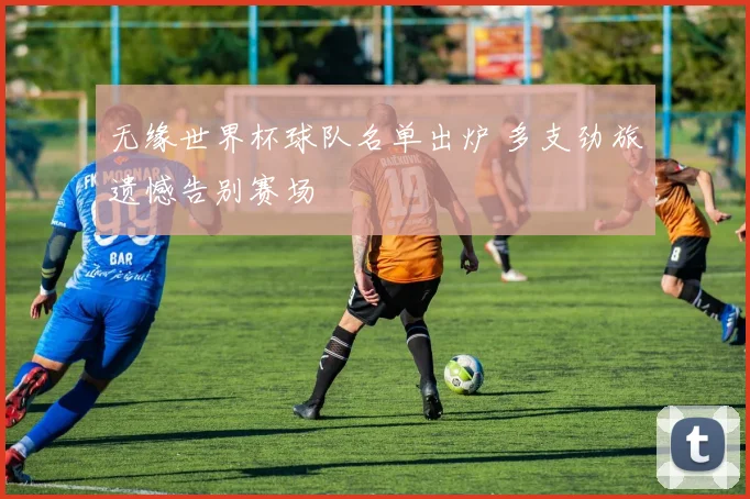 无缘世界杯球队名单出炉 多支劲旅遗憾告别赛场